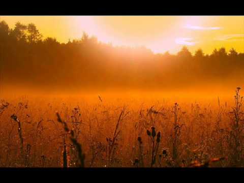 В белой дымке спряталась заря