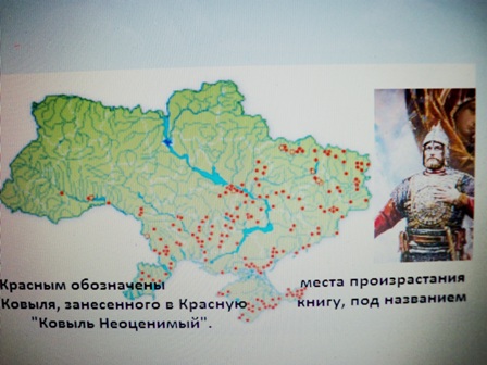 Рыцарские мысли на пенсии