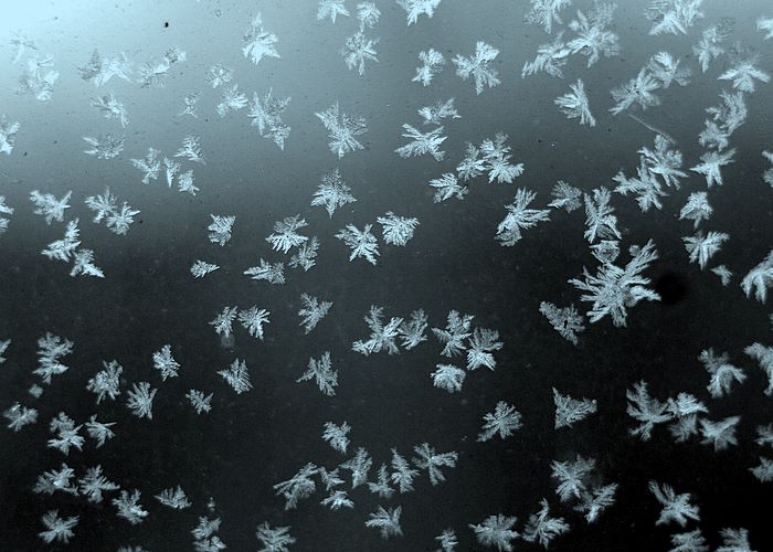 Остался только один