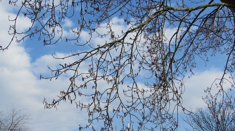 Заполню твоё пространство