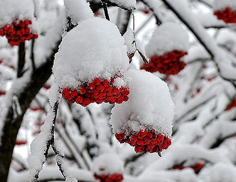 Снег в апреле