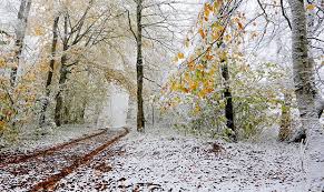 067. Первый снег