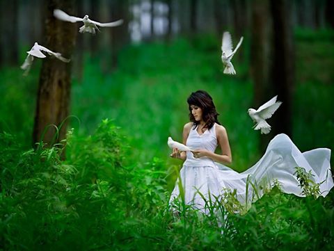 Ухожу в туманы...