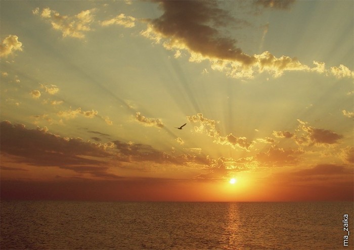 О далеком плавании