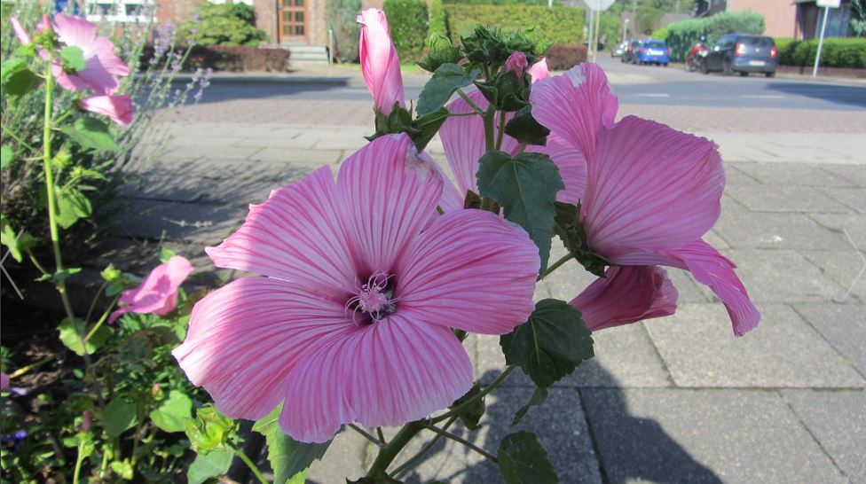 Лечите душу