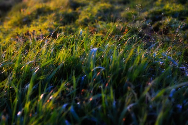 Посмотри в мои глаза - в них столько правды