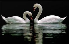 Красивая любовь, как хрупкое стекло...