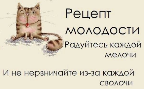 Сонет о пиастрах и пампасах
