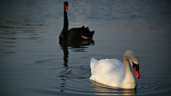 Просто, я имя её - позабыл...