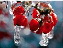 Хорошо возвращаться домой