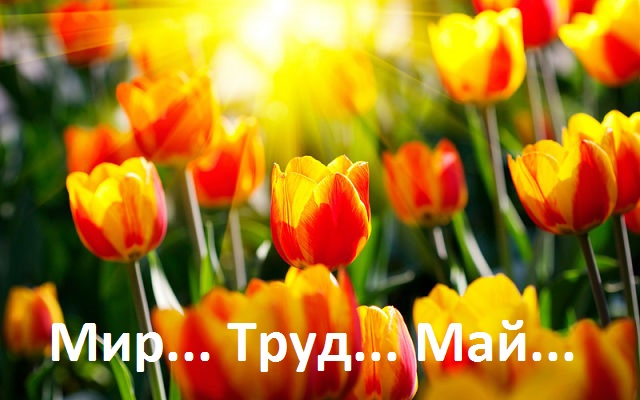 Мир... Труд... Май...