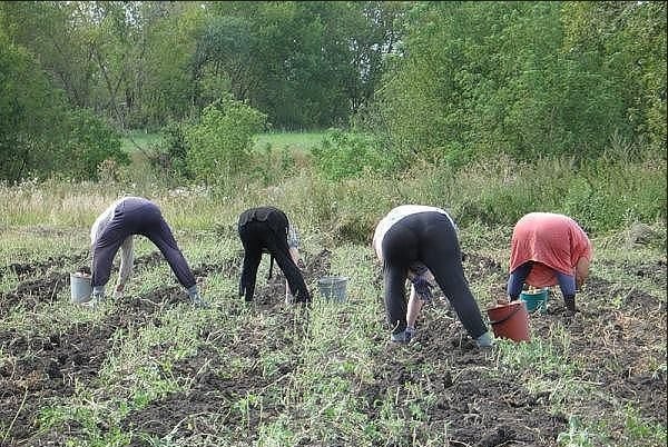 Разлеглась к верху жопой