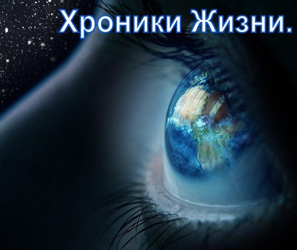 Цветут красивые цветы - пчелиный слышится мотив...