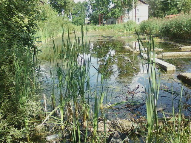 Возвращение