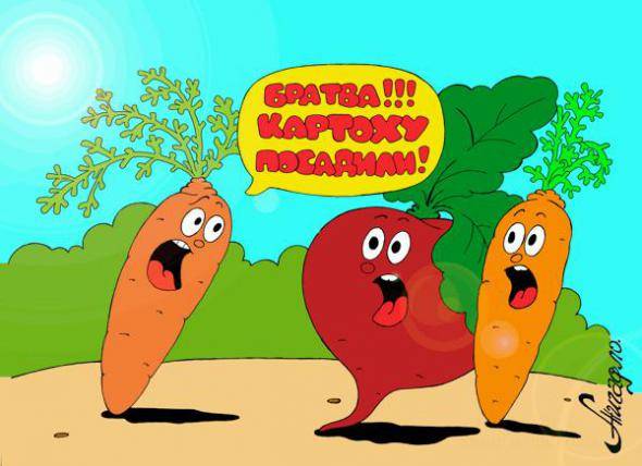 Начала с посева...