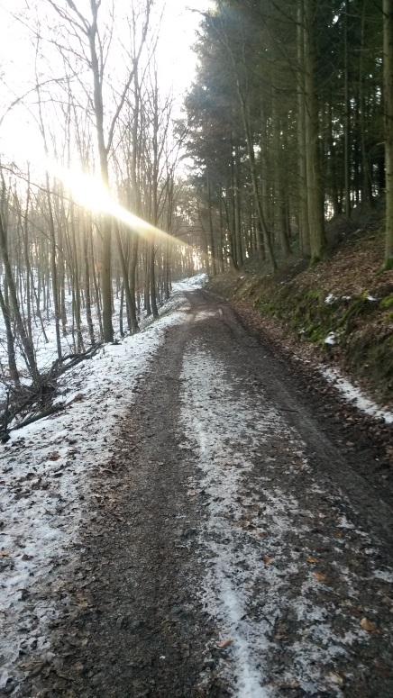 Аллеи сень, а впереди - обрыв