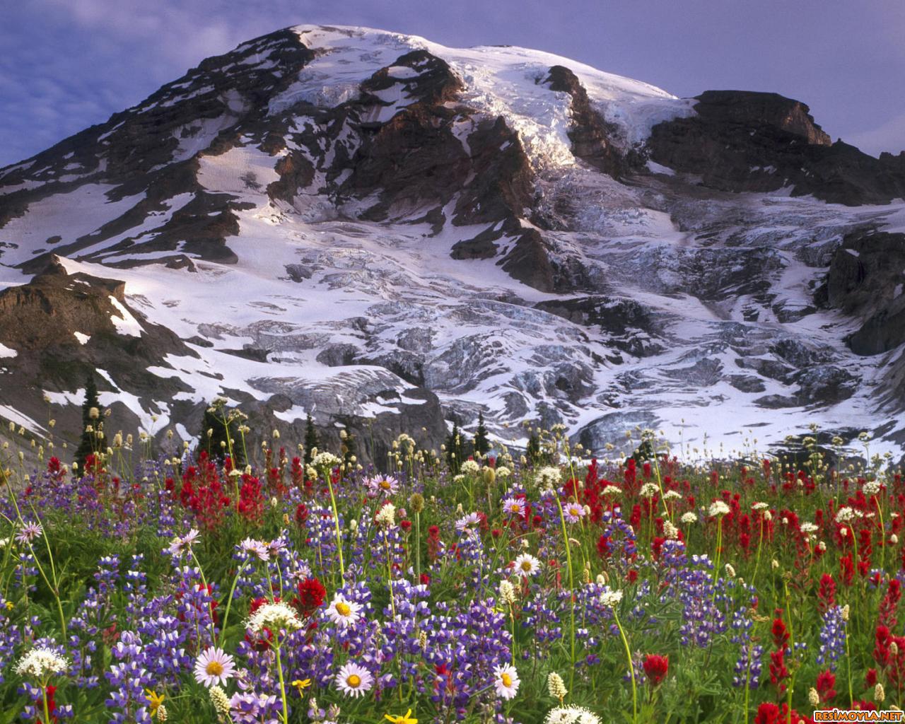 Волшебное время!
