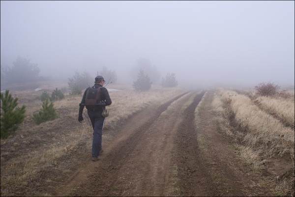 Сплету тебе жизнь