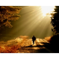 По своему пути идёт мой путник..