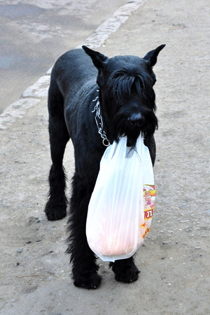 Ты по-прежнему самая лучшая!