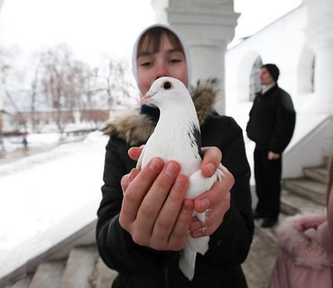 Есть руки...