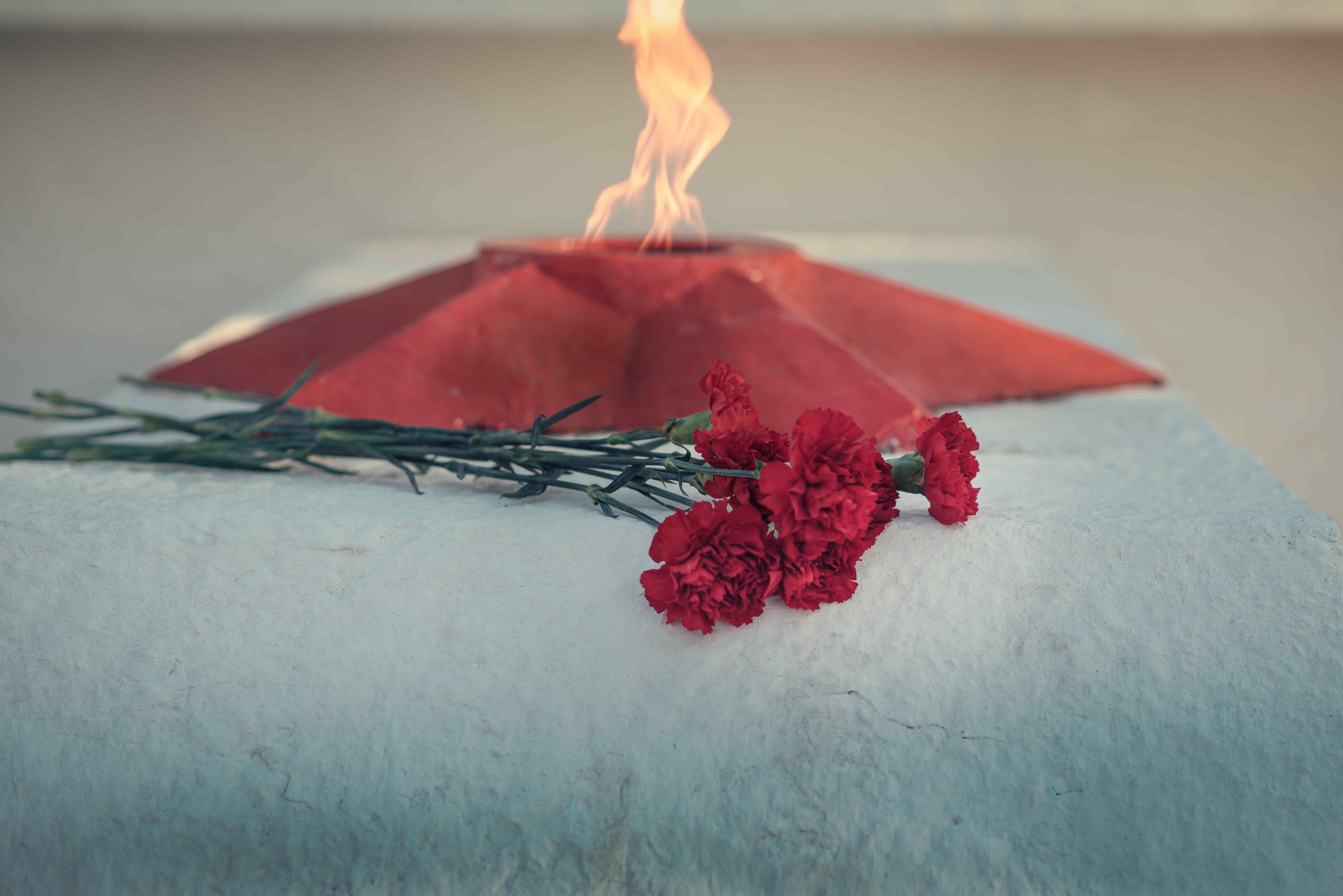 Прадед родной мой, какими дорогами...