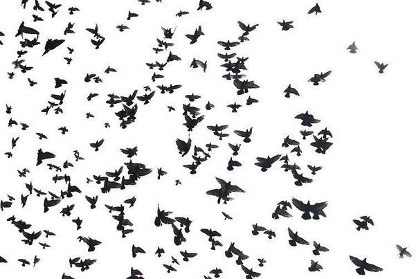 между прочим