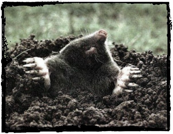 Путь к эшафоту 5