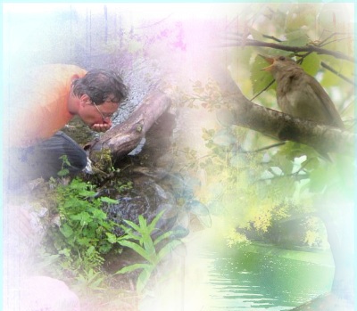 Счастью нет отбоя!