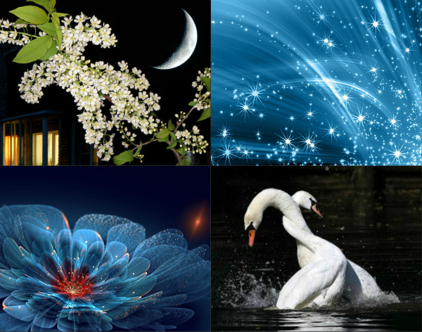 Весны бразды