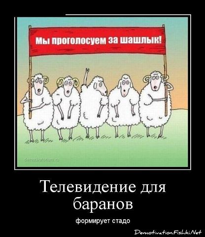 Я и государство