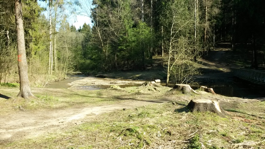 Срастайтесь снова, звенья этой жизни