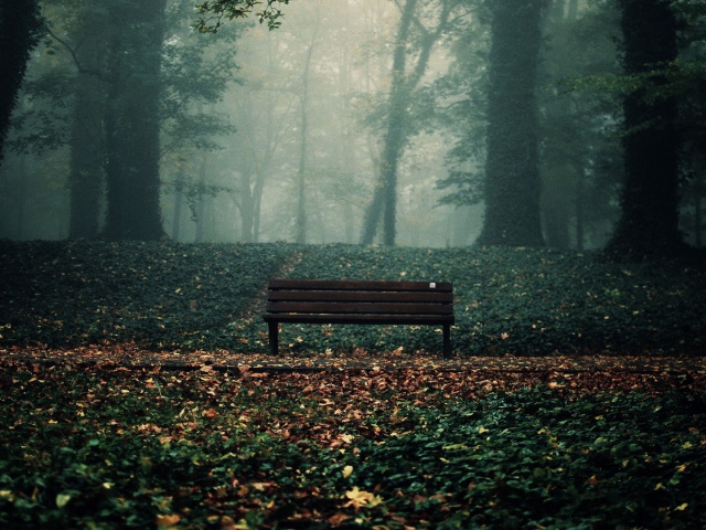 По осеннему дышит листва...