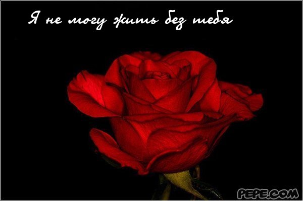 Хочу и не могу