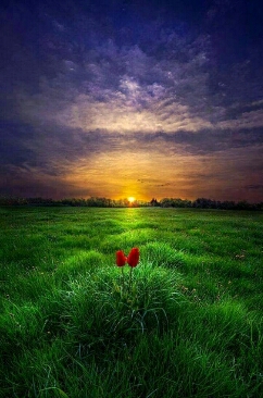 Все Ответы Внутри Нас