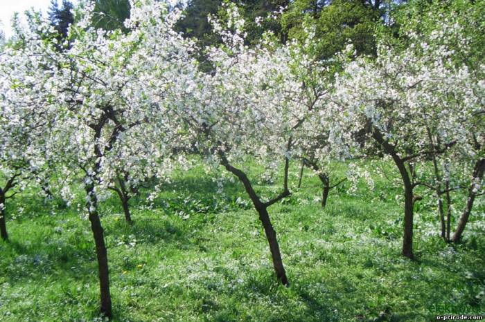 УДачного времени