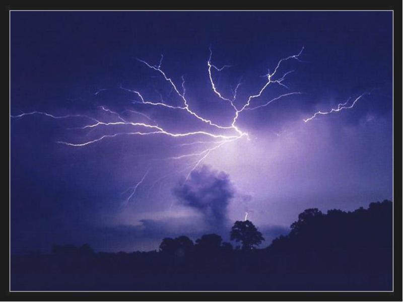 рябиновые ночи молнии. молния вверх. сильный ветер природа. гроза и дождь. лесной пожар от молнии.