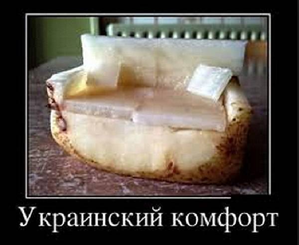 Ода салу