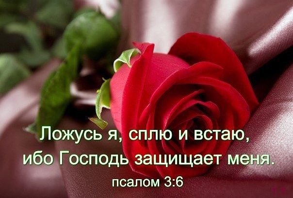 Псалом 16