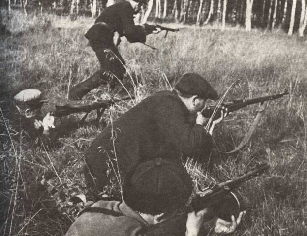 Партия партизан