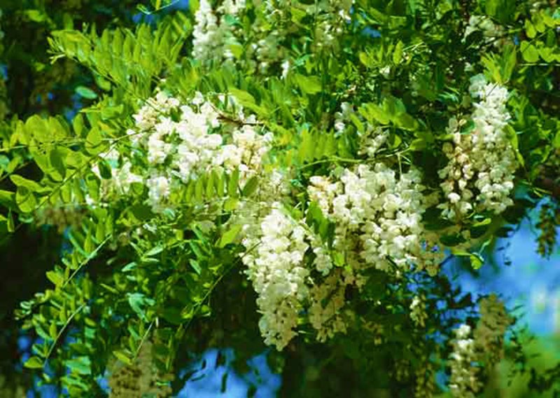 Ну, улыбнитесь!