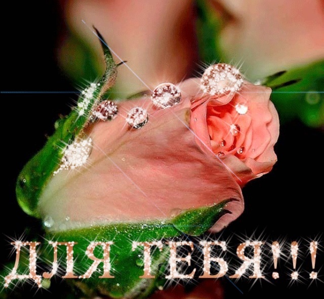 Ты хорошенькая картинки