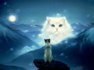 Черного неба круг