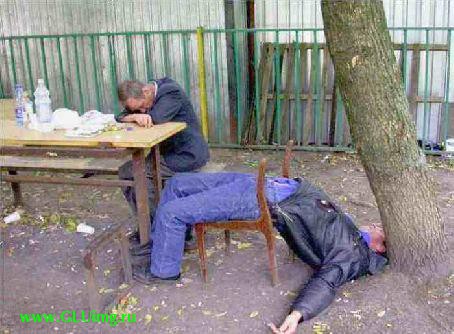 Ода лучшему другу