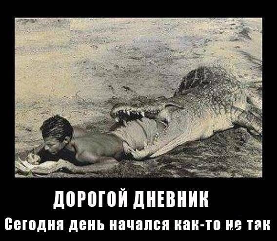О приколах