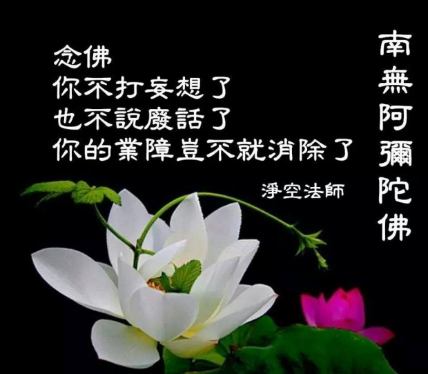 Мне суждено...