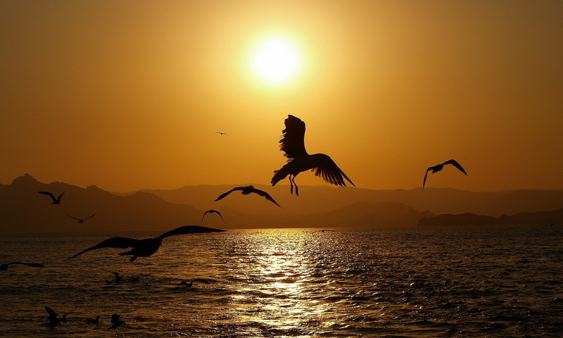 Отмучилась душа и улетела...