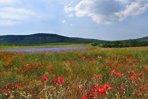 На проселках