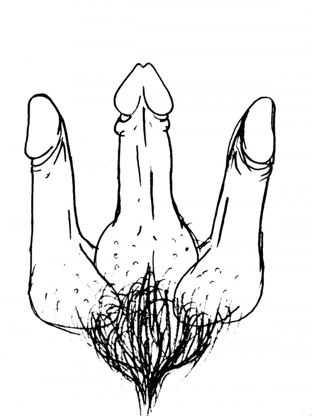 Моя символика