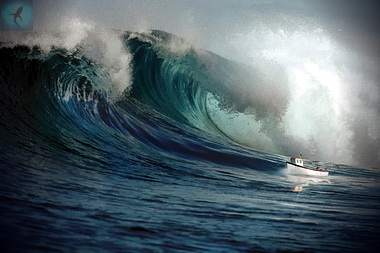 Морская мечта